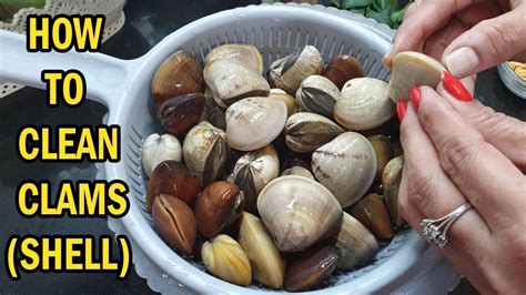 How To Dispose Of Clam Shells