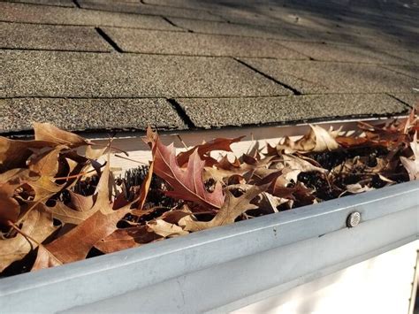 How To Dissolve Leaves In Gutter