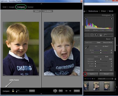 How to Use Lightroom Classic A Complete Tutorial for Beginners