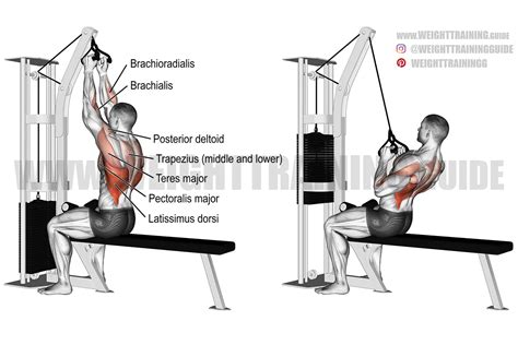 How To Do Close Grip Pulldown