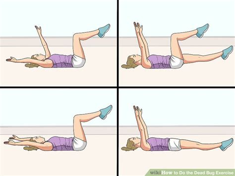 how to do dead bug exercise step by step