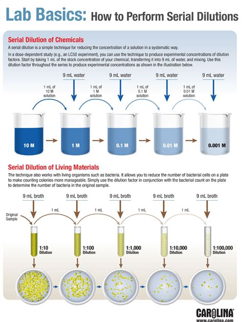 How To Do Dilutions