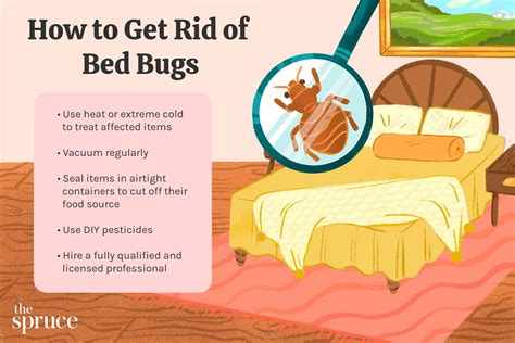 How To Do Get Bed Bugs