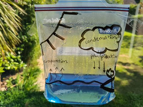 how to do water cycle in a bag