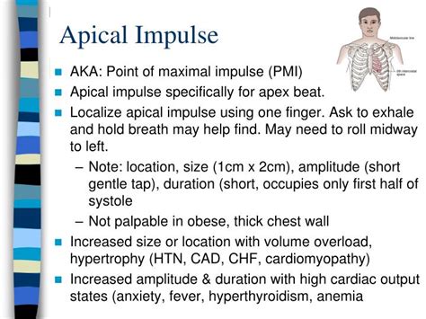 how to document apical impulse
