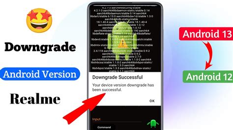 how to downgrade android version 13 to 12