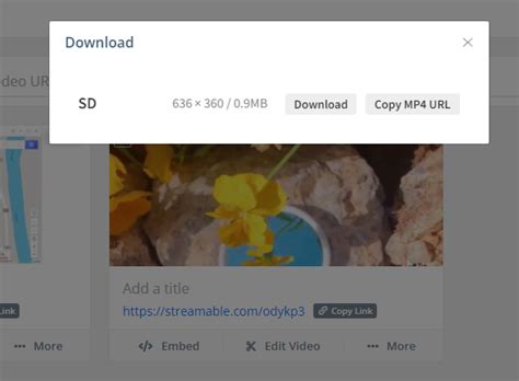 how to download streamable videos safari