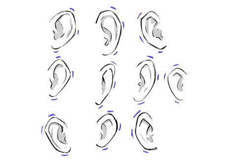 How to Draw Anime Ears, a Simple ThreeStep Guide GVAAT'S