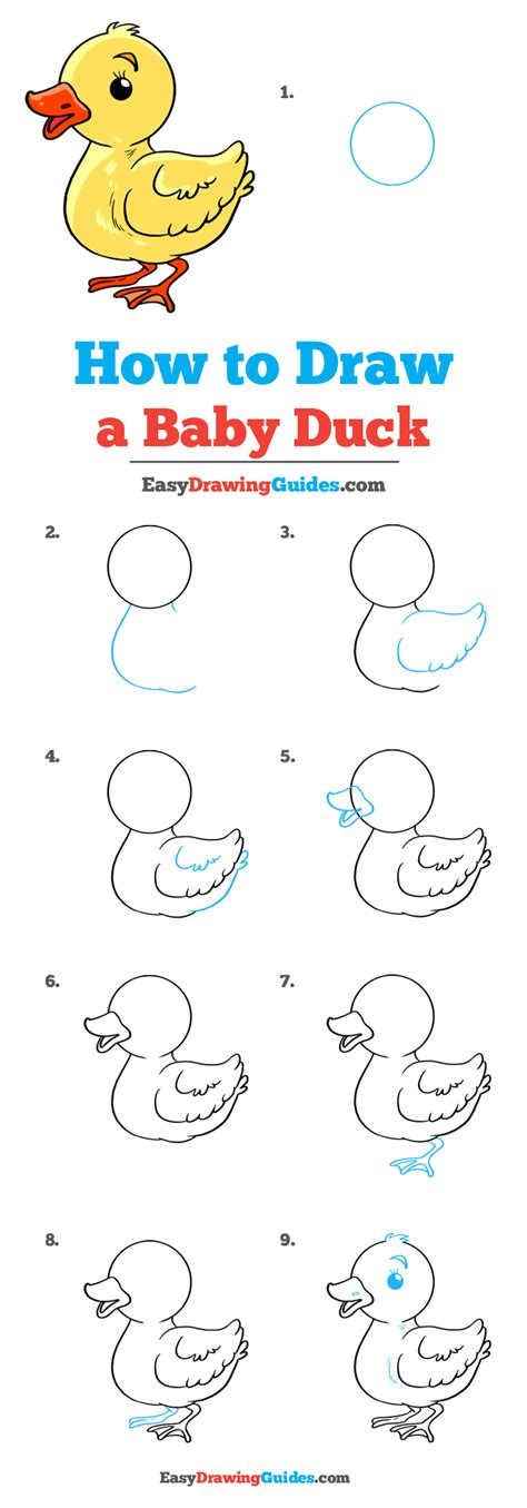 How to draw a duckling howtodraw illustration 
