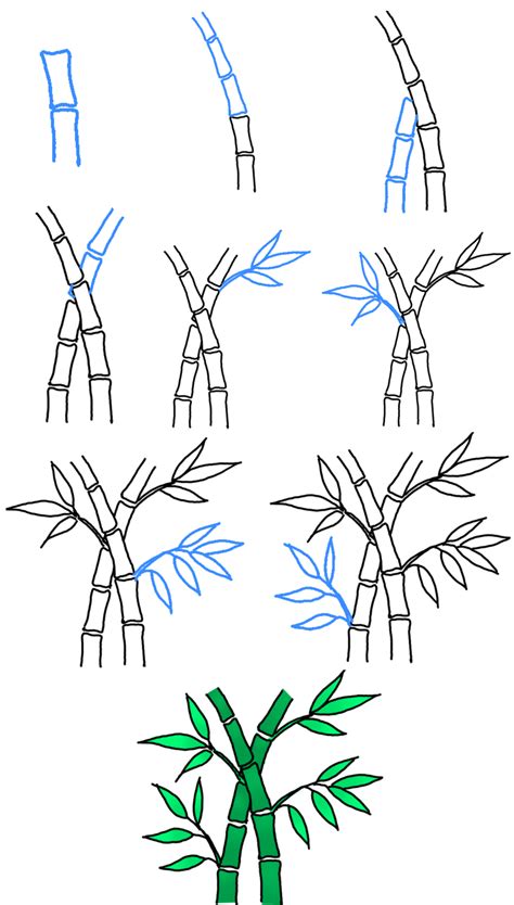 How to Draw a Sycamore Tree StepbyStep Tutorial Tree