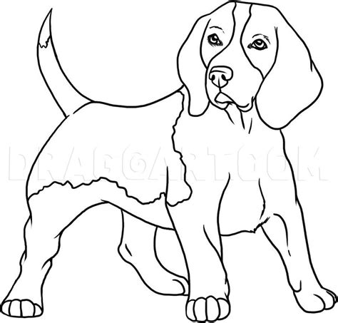 Dog drawing simple, Dog drawing tutorial, Dog drawing