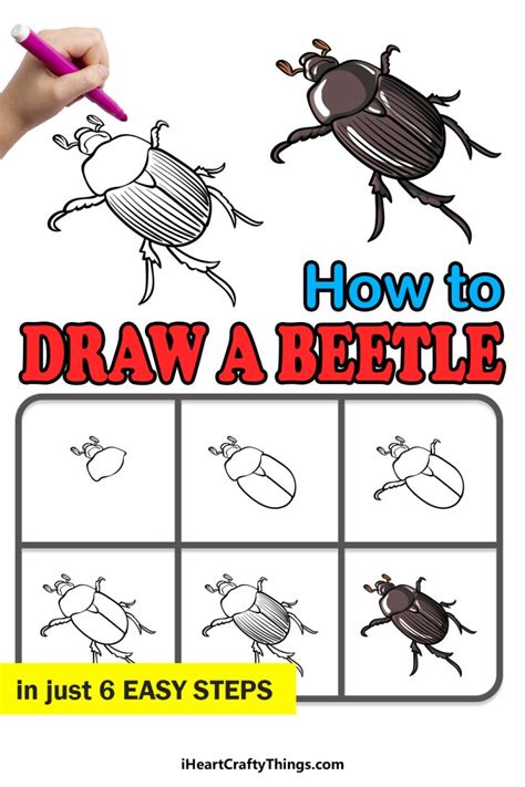 How To Draw A Beetle Step By Step