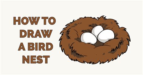 How To Draw A Bird Nest, Step by Step, Drawing Guide, by