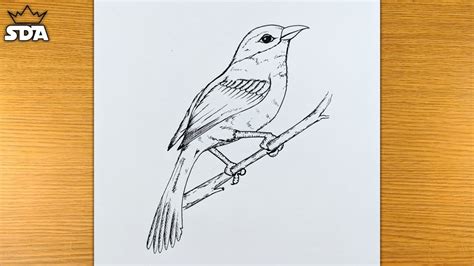 how to draw a bird on a tree branch