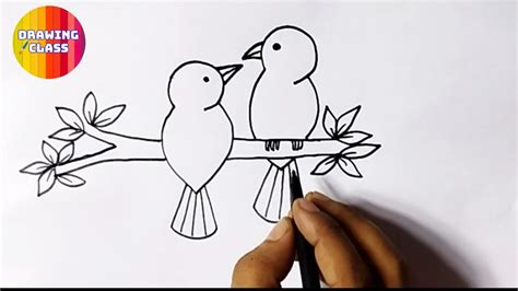 how to draw a bird on a tree branch easy