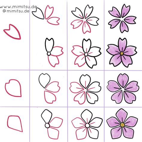 How to draw a cherry blossom Step by step Drawing tutorials