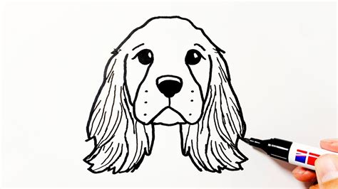how to draw a cocker spaniel