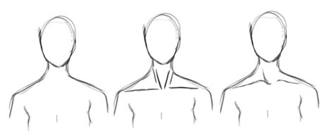 how to draw a collarbone