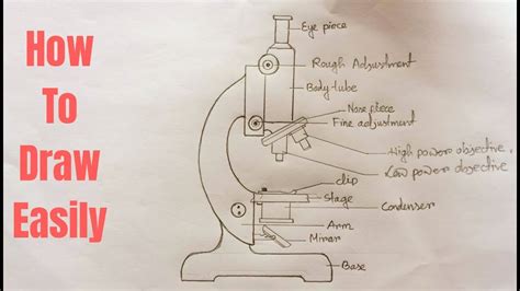 How To Draw A Compound Light Microscope