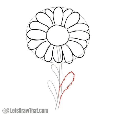 How To Draw A Daisy Leaf