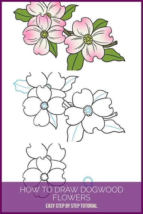 How to Draw Dogwood Flowers Really Easy Drawing Tutorial