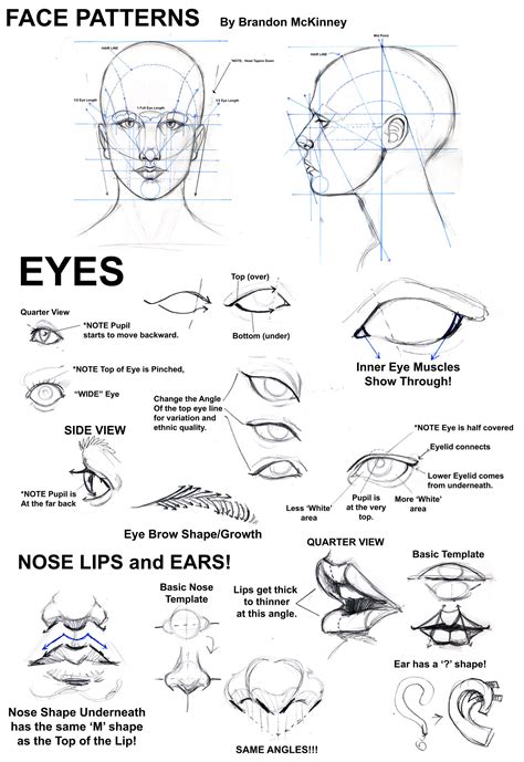 how to draw a face from a reference photo