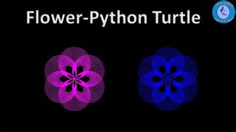 How To Draw A Flower On Python Turtle