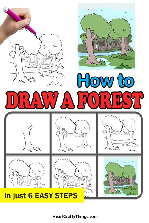 How To Draw Scenery of Rainforest step by step