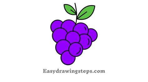 How To Draw A Grape