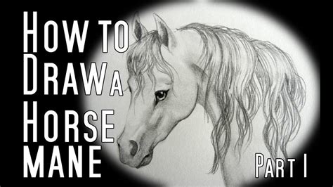 how to draw a horse mane