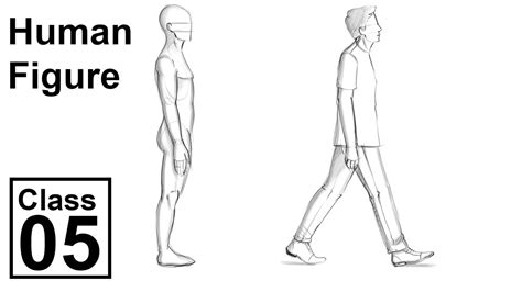 how to draw a human from the side