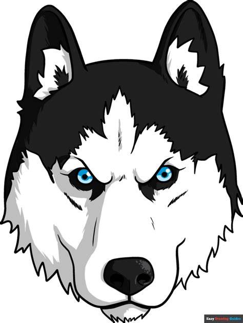 Drawing of a Husky dog with pencil, what do you think? learntodraw
