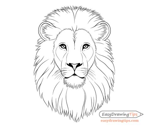 Lion Face Drawing Easy Step By Step / How To Draw A