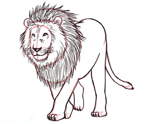 how to draw a lion full body easy