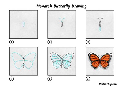 how to draw a monarch butterfly realistic step by step