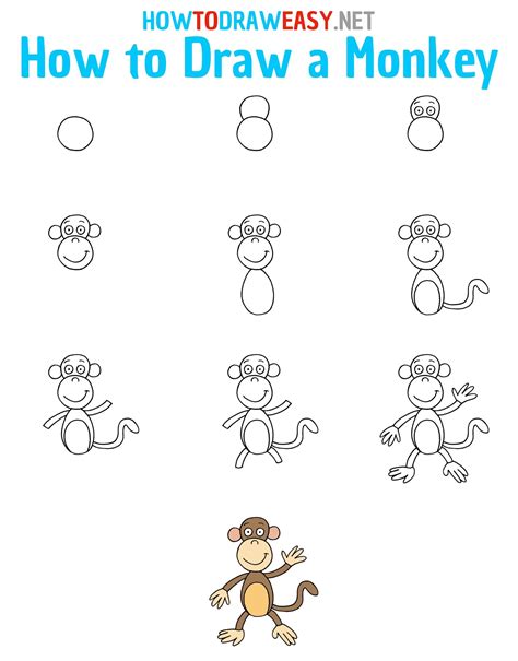how to draw a monkey easy step by step with pencil