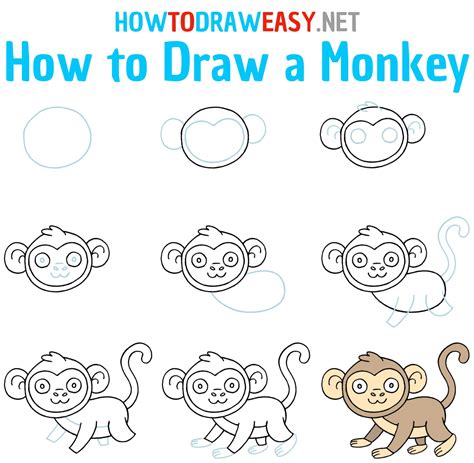 How To Draw A Monkey In Steps