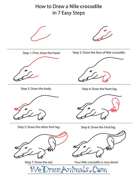 how to draw a nile crocodile