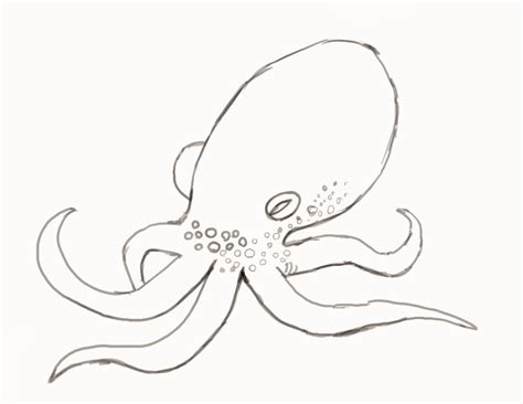 Learn how to draw so cute Octopus, easy step by step