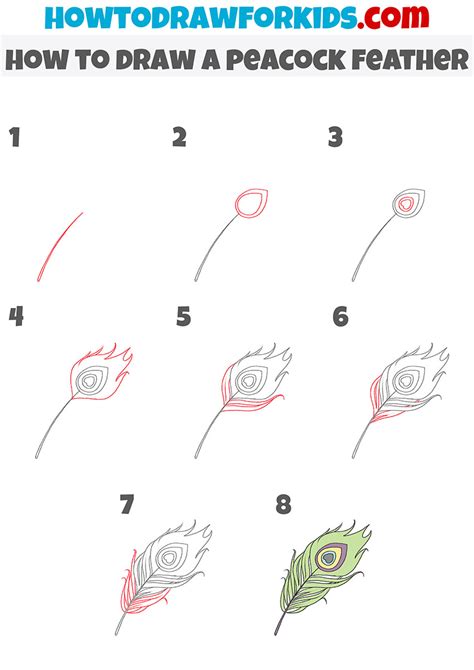 how to draw a peacock feather step by step easy