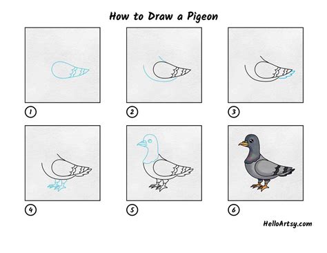 How to Draw a Pigeon Really Easy Drawing Tutorial