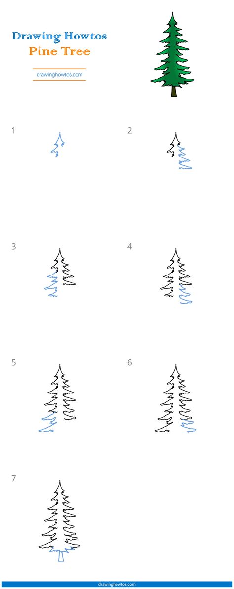 how to draw a pine tree step by step