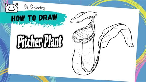 how to draw a pitcher plant step by step