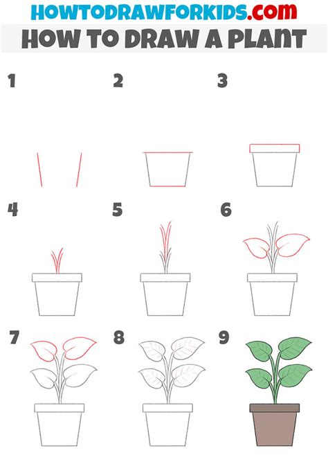 DARYL HOBSON ARTWORK How To Draw A Flower Step By Step Guide