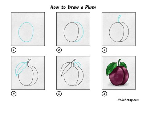 How To Draw A Plum