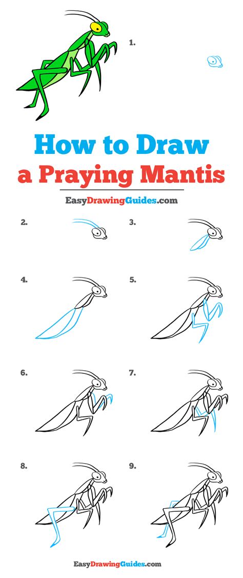 How to Draw a Praying Mantis step by step Easy Animals 2