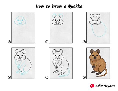 Learn How to Draw a Quokka for Kids (Animals for Kids