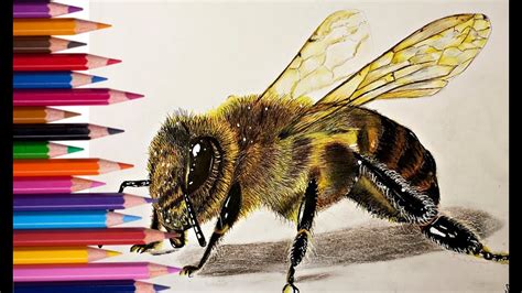 How to draw a bee step by step Bee drawing easy for