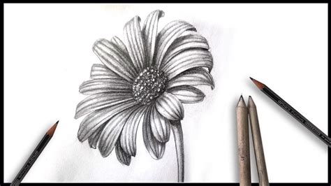 How To Draw A Realistic Flower Tutorial
