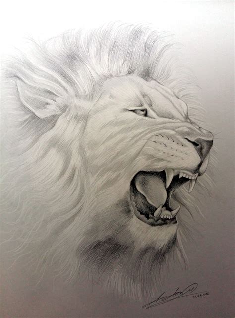 how to draw a realistic lion roaring